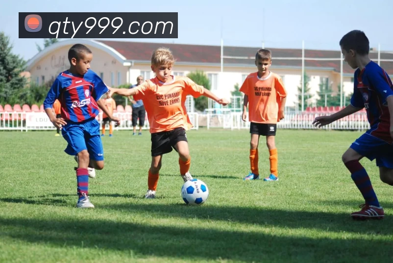 多媒体互动体验